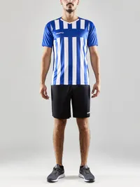 1910175-346900_Progress 2.0 Stripe Jersey M_Closeup4.jpg